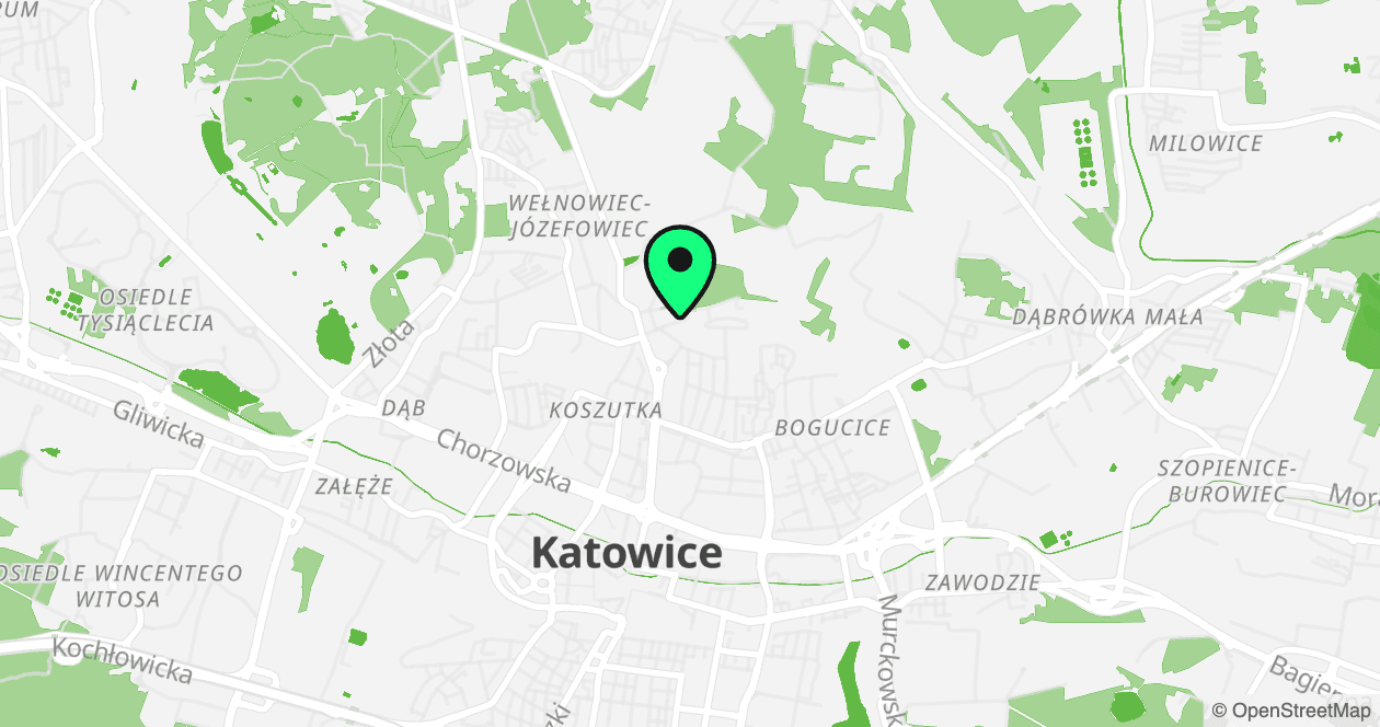 Mapa lokalizacji biura Green Parrot w Katowicach