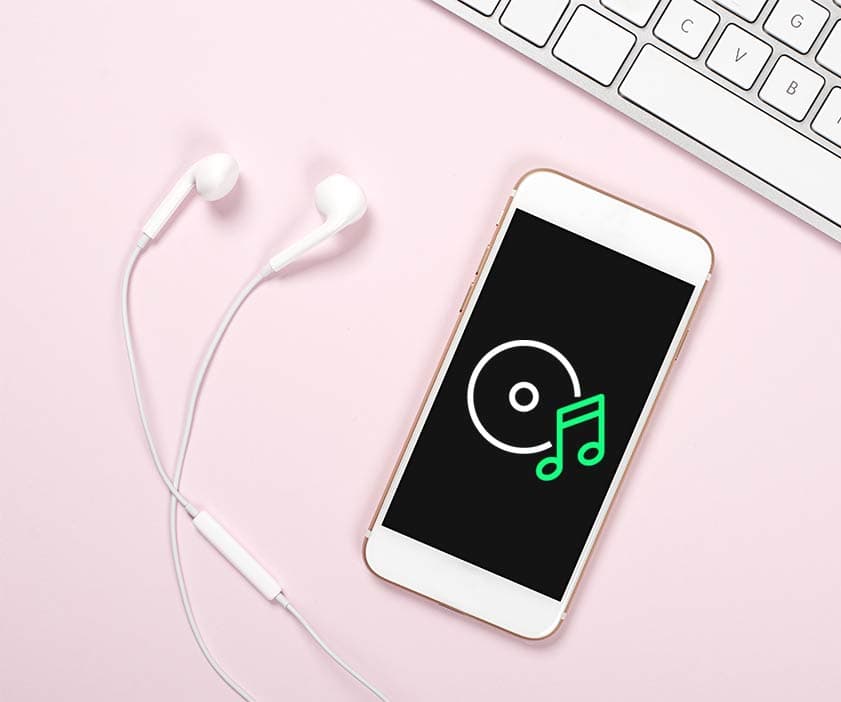Zacznij kampanię na TikToku z Green Parrot
