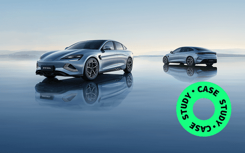 BYD case study