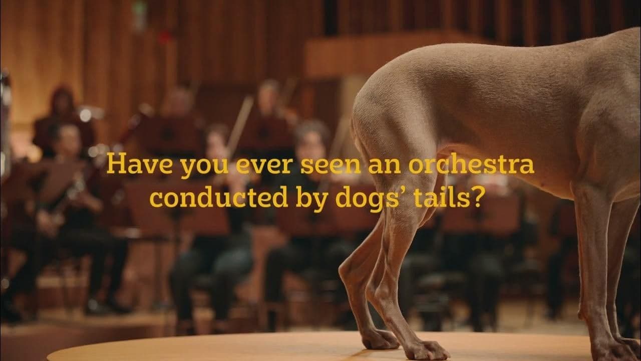 1713198711634.jpeg
