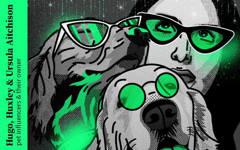 960x600_pjeski_GPUrsula_dogs.png