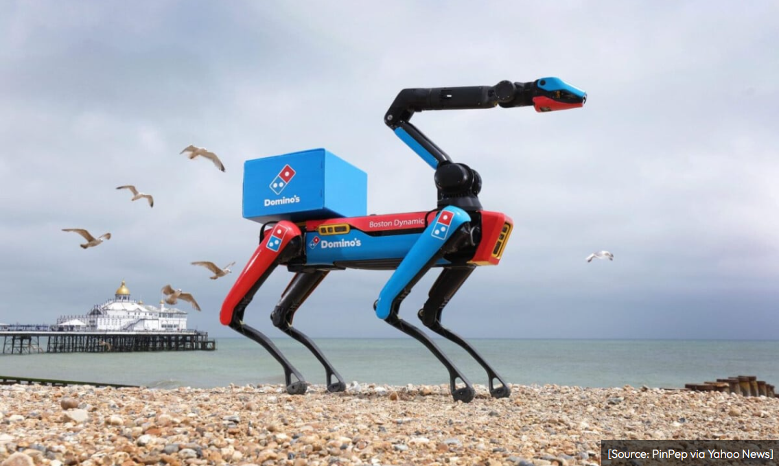 Domino's robodog on a beach